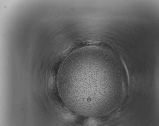 X0000077380608200610271948