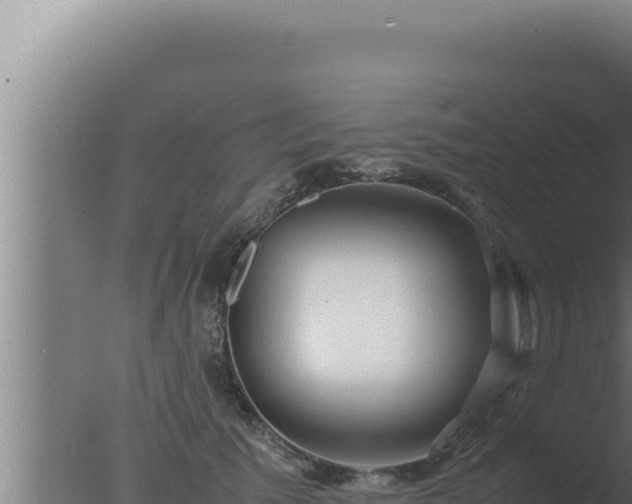 X0000077380609200610271948