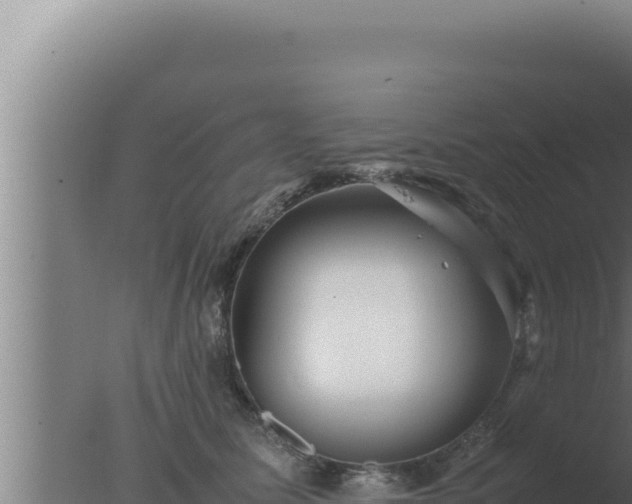 X0000077380611200610271948