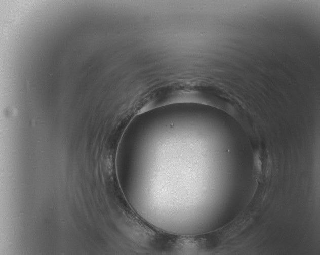 X0000077380613200610271948