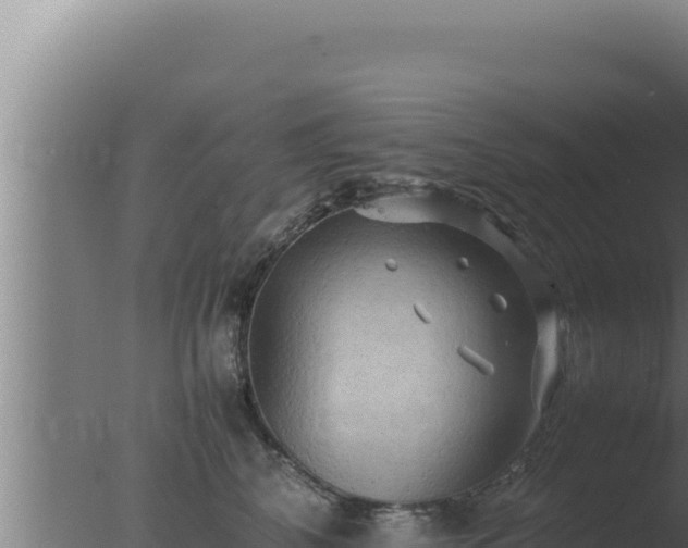 X0000077380616200610271948