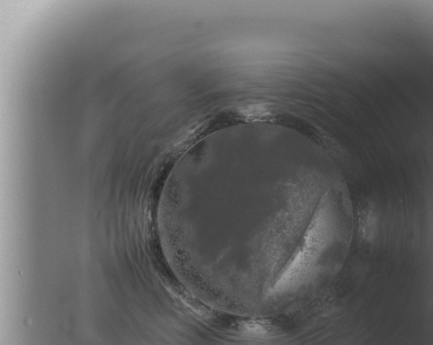 X0000077380618200610271948