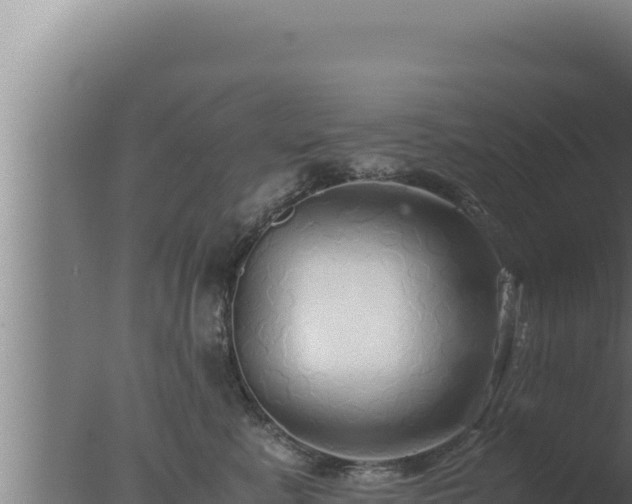 X0000077380619200610271948