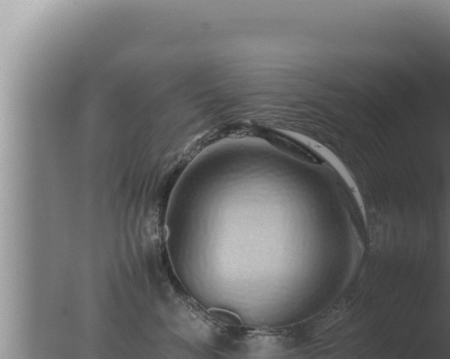 X0000077380620200610271948