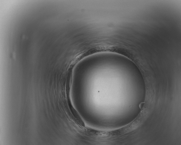 X0000077380624200610271947