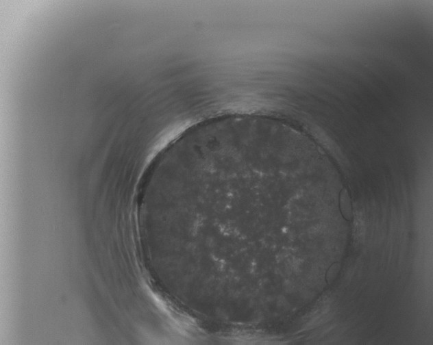 X0000077380626200610271947