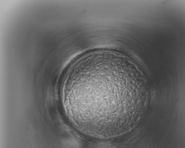 X0000077380628200610271947