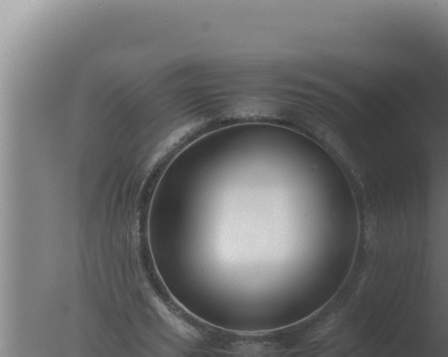 X0000077380629200610271947