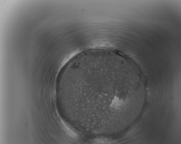 X0000077380630200610271947