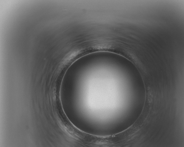 X0000077380631200610271947