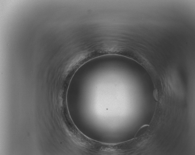 X0000077380635200610271947