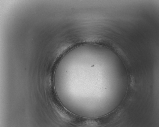 X0000077380636200610271947