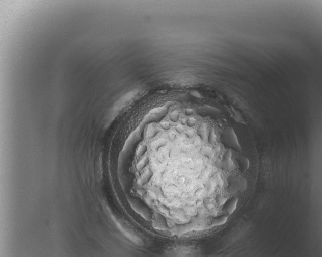 X0000077380638200610271947