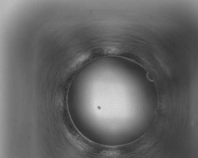 X0000077380639200610271947