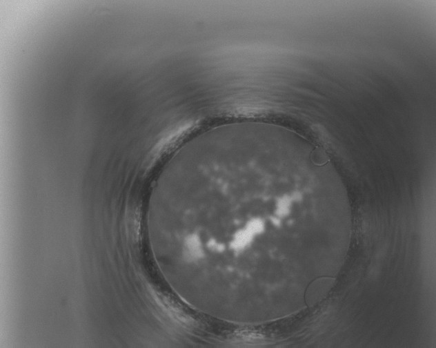 X0000077380640200610271947