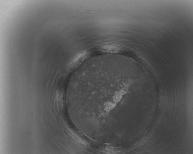 X0000077380641200610271947