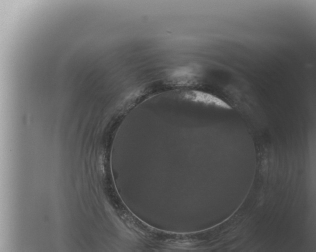 X0000077380643200610271947