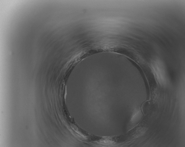 X0000077380644200610271947