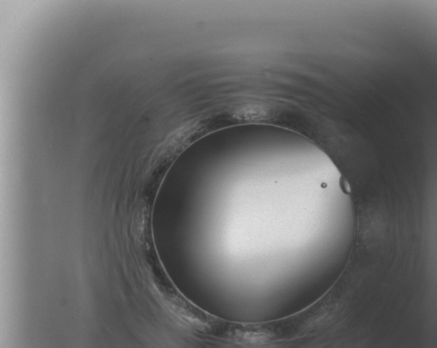 X0000077380645200610271947