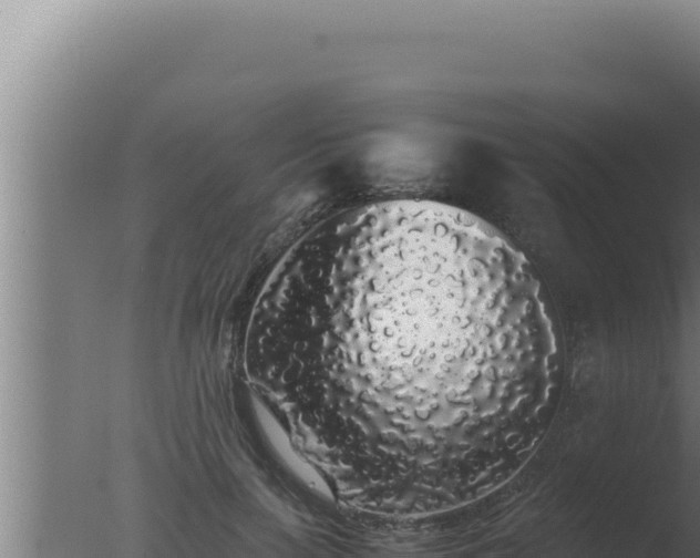 X0000077380647200610271947