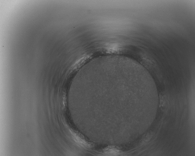 X0000077380648200610271947