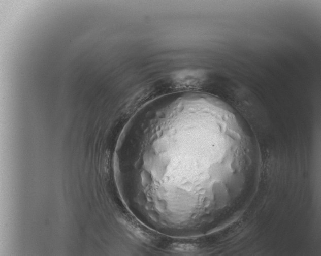 X0000077380649200610271947