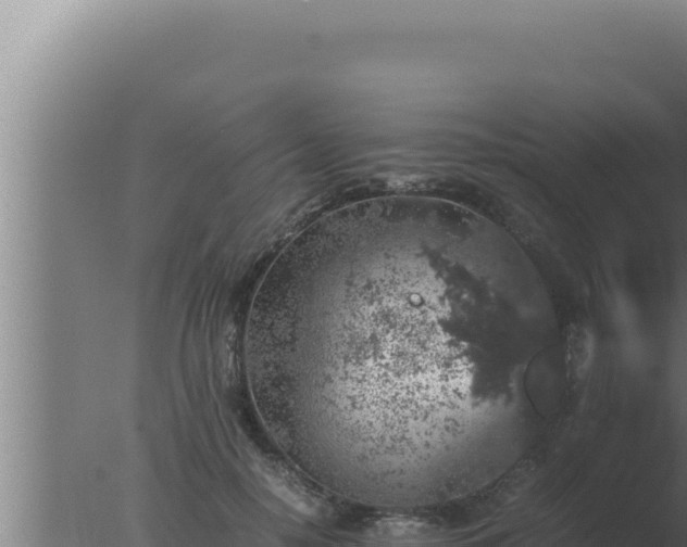 X0000077380650200610271947