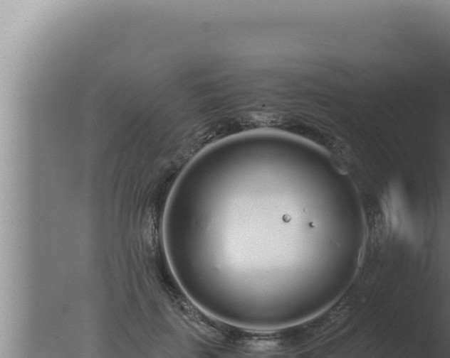 X0000077380651200610271947