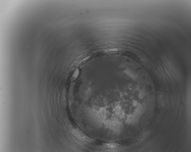 X0000077380654200610271947