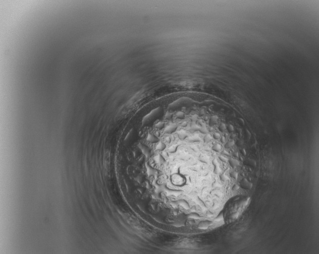 X0000077380656200610271947