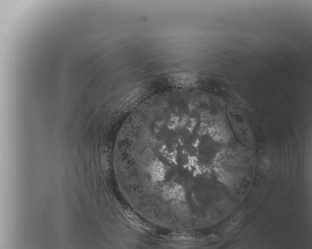 X0000077380658200610271947