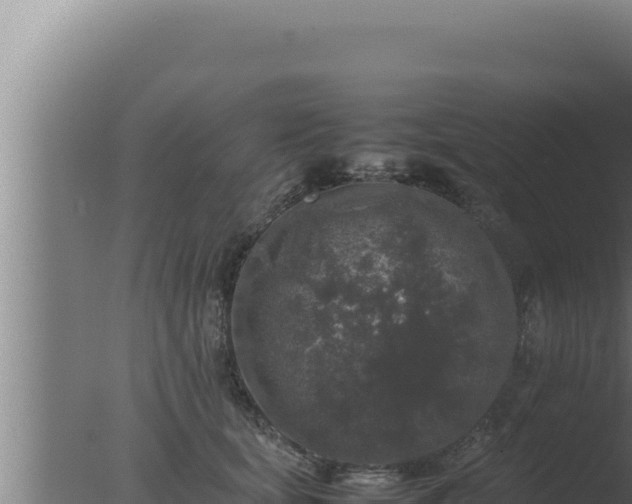 X0000077380659200610271947