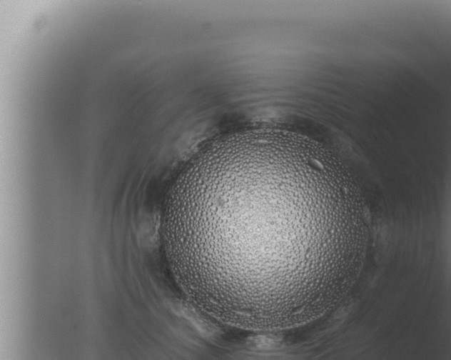 X0000077380660200610271947