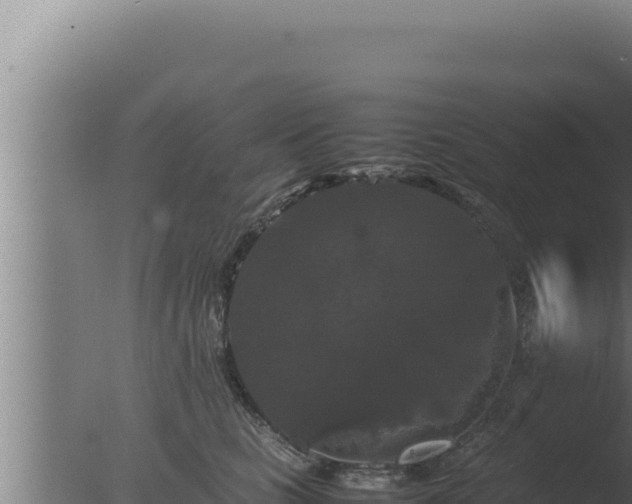 X0000077380661200610271947