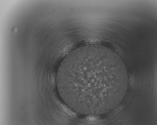 X0000077380662200610271947