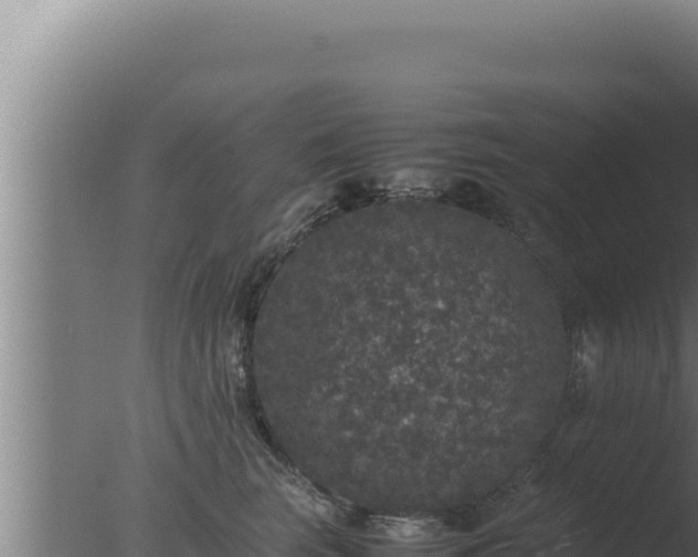 X0000077380663200610271947