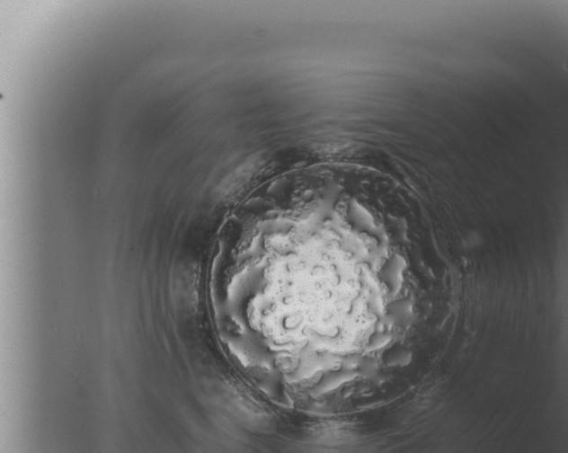 X0000077380664200610271947