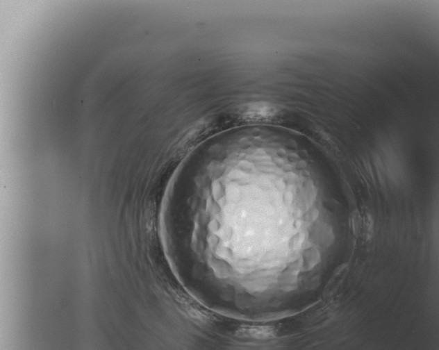 X0000077380665200610271947