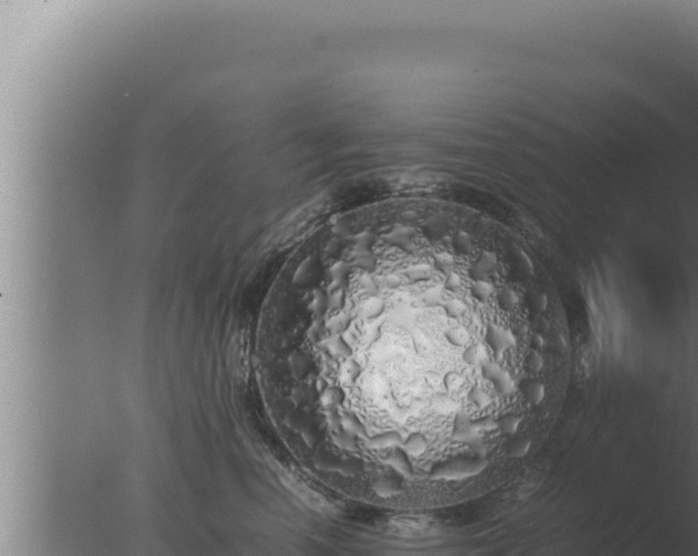 X0000077380666200610271947