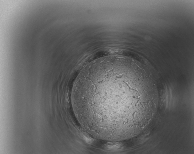 X0000077380667200610271947