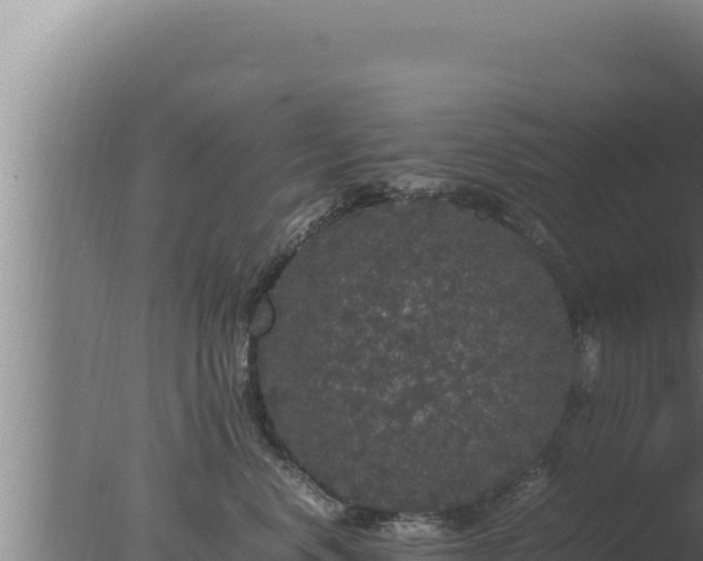 X0000077380668200610271947