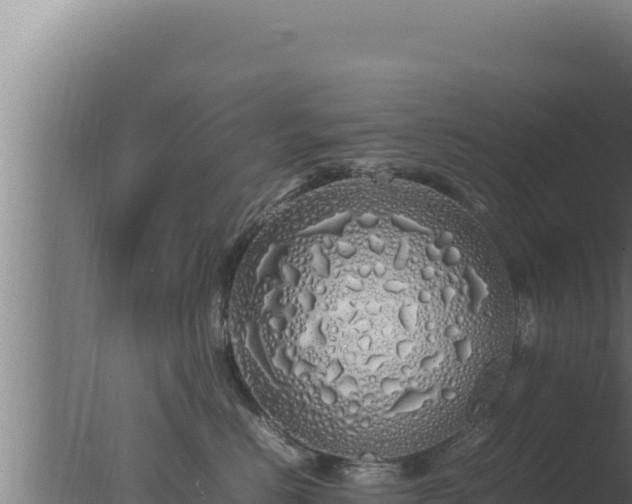 X0000077380670200610271947