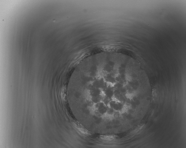 X0000077380671200610271947