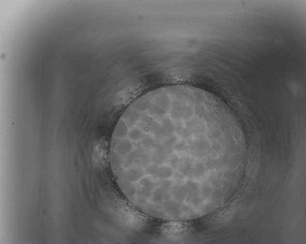 X0000077380672200610271947