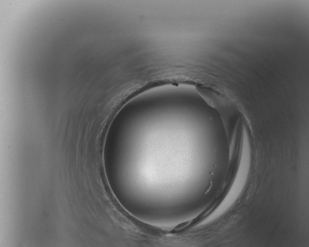 X0000077380673200610271947