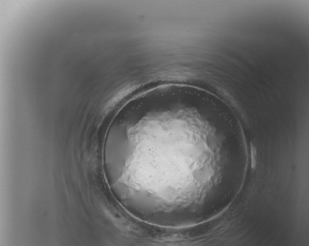 X0000077380675200610271947