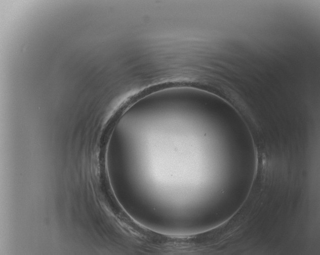 X0000077380676200610271947