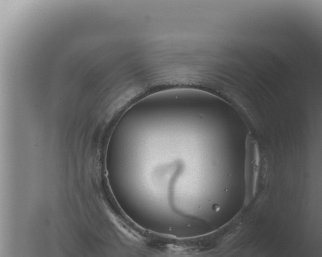 X0000077380677200610271947