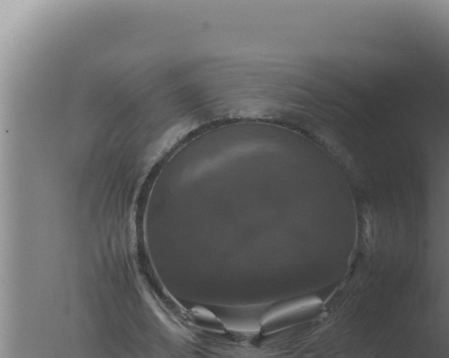 X0000077380678200610271947