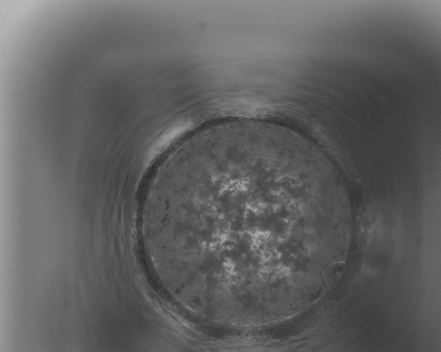 X0000077380679200610271946